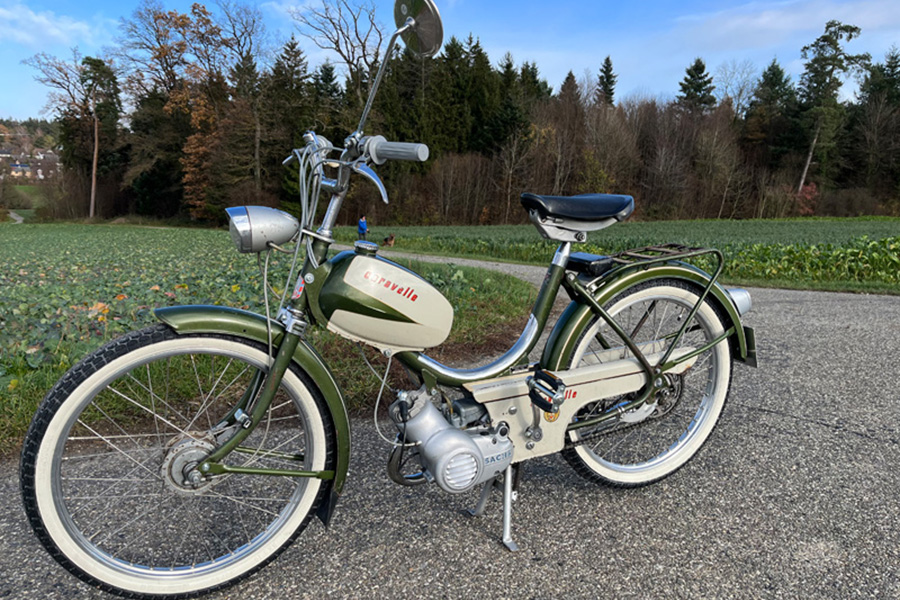 Deux spécimens particulièrement beaux : Caravelle Tigra 502 . . . 