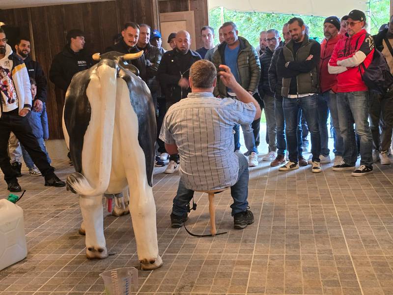 High-tech à l’étable : Ernst Brunner démontre la traite automatique – ici, les vaches mènent la danse et se rendent d’elles-mêmes du râtelier à la machine à traire.