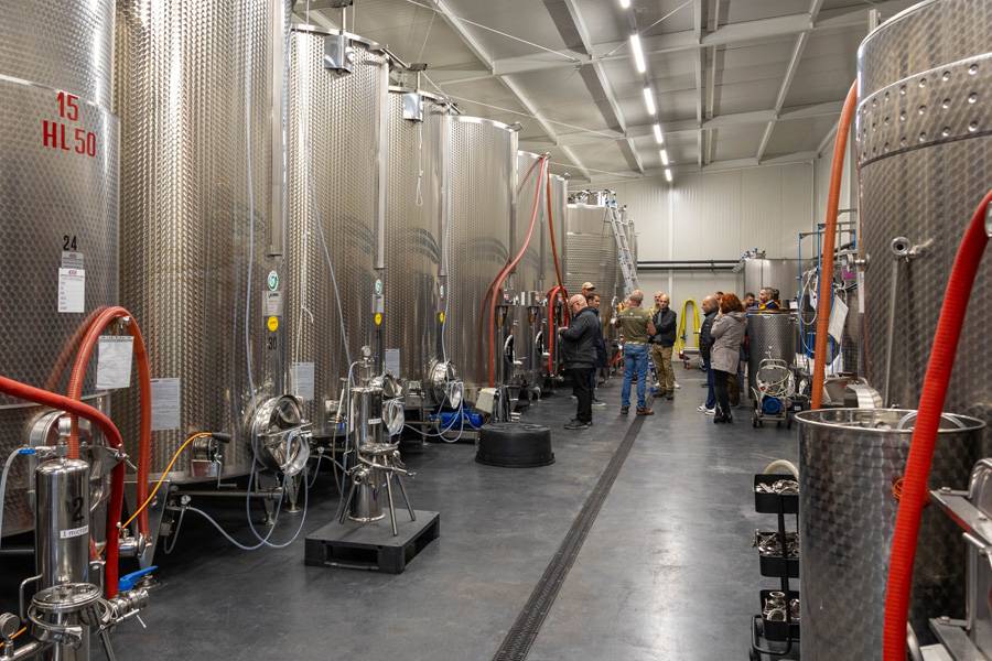 Entre cuves étincelantes et voix feutrées : à la Cantina Il Cavaliere, le progrès ne se célèbre pas, il se pratique. Précision dans l’acier, patience dans le verre – le vin comme artisanat, non comme posture.