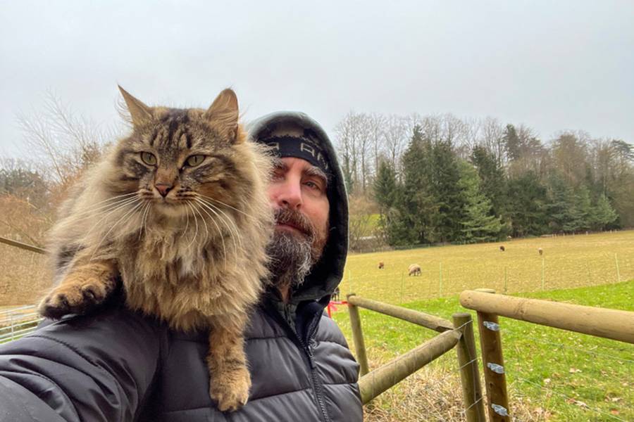 Bestandteil des Hoforchesters. Menschenliebhaber, Spaziergänger, Hundebegleiter. Hofherr auf leisen Pfoten – mit neugierigem Blick und erstaunlichem Bewegungsdrang.