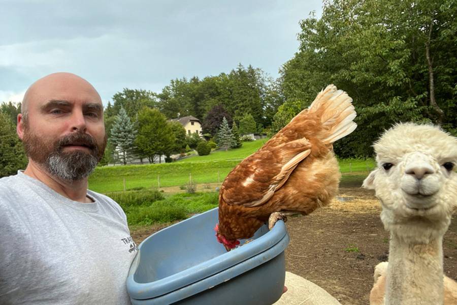 L’impertinence l’emporte : la poule impose ses règles à la gamelle, pendant que le maître des lieux observe attentivement la scène, et que l’alpaga curieux semble inspecter le photographe. 