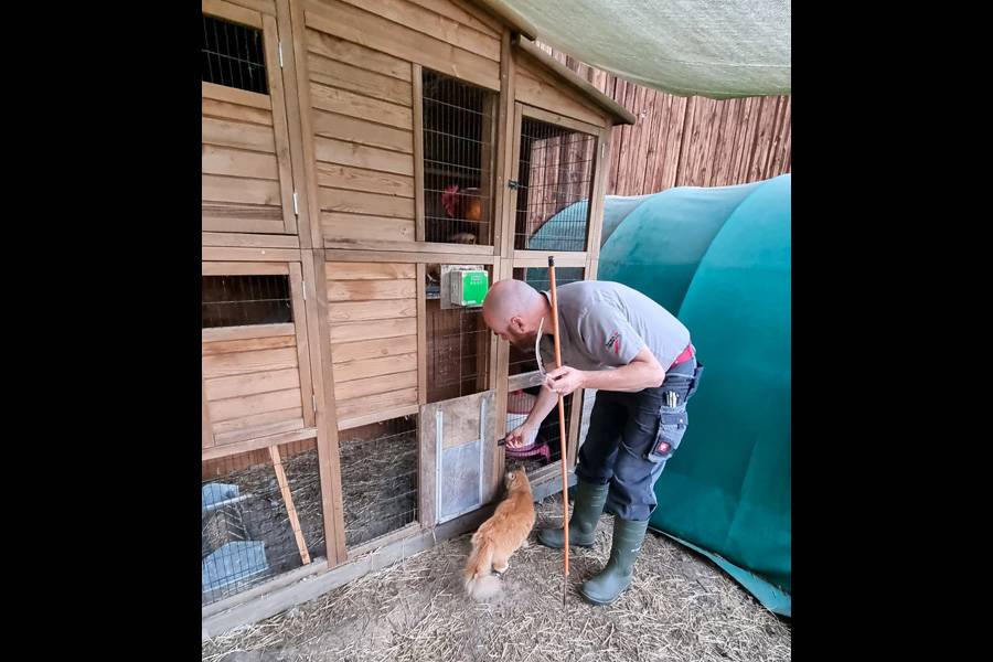 Sherry ne connaît pas de fin de journée. Tantôt elle se frotte aux jambes d’Andreas, tantôt on la retrouve au milieu du poulailler, parmi les plumes. Cette patte de velours fait partie de l’inventaire de la ferme, en service de patrouille permanent. La proximité, elle la choisit elle-même – et la trouve toujours.