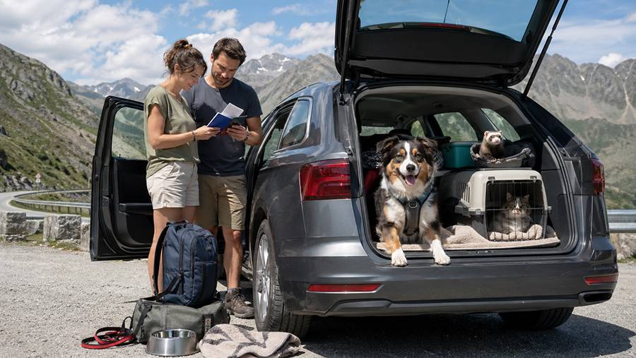 Sommerferien mit Fell und Formular: Der Schweizer Heimtierpass bleibt für Reisen in die EU anerkannt, doch die neuen Regeln machen Kontrollen und Nachweise wichtiger. Gute Vorbereitung erspart Ärger an der Grenze.