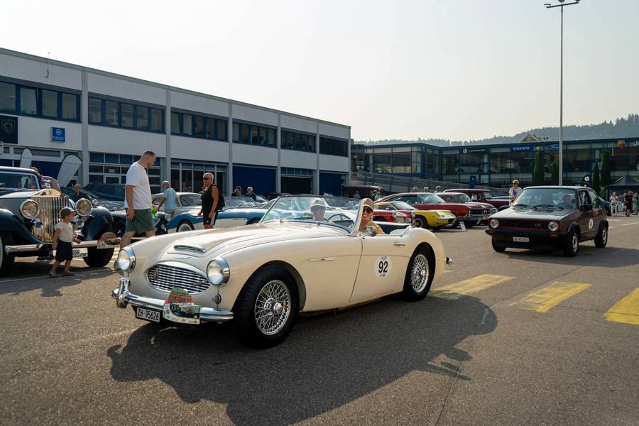 Lange Haube, viel Charme: Der helle Austin Healey zieht über das Gelände – begleitet von Klassikern, Zuschauern und einer guten Portion Sommerglanz.